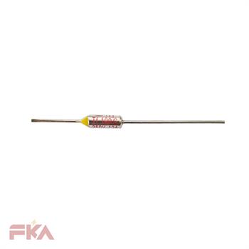 ترموفیوز RY 10A 100C