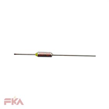 ترموفیوز RY 10A 220C 