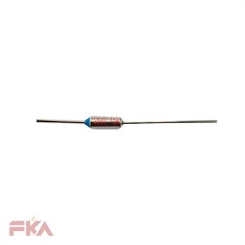 ترموفیوز RY 10A 240C 